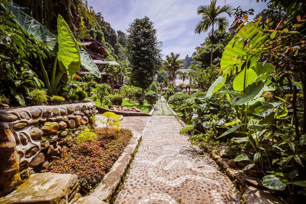 Garden Inn Bukit Lawang Exteriér fotografie